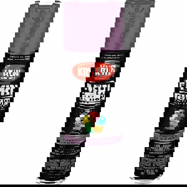 Acrylic Enamel Spray Paint: Icy Grape, G